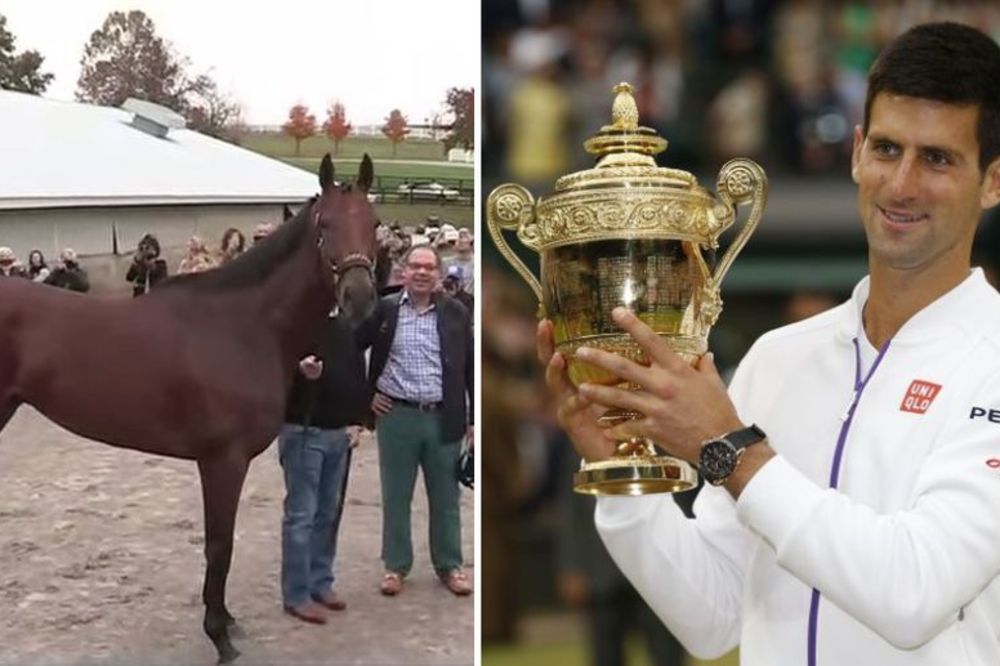 Ovakvog protivnika još nije imao: Novak protiv konja u izboru za sportistu godine?! (VIDEO)