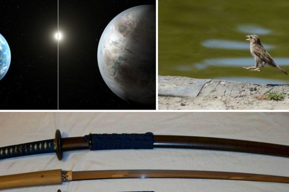 Katana, Jajalo, Svemir, Vrabac...Toliko ih je blam da bi ovi fudbaleri najradije promenili ime! (FOTO) (VIDEO)