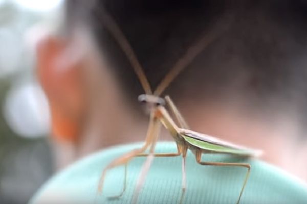 Srce im je sišlo u pete, dok su ostali umirali od smeha! (VIDEO)