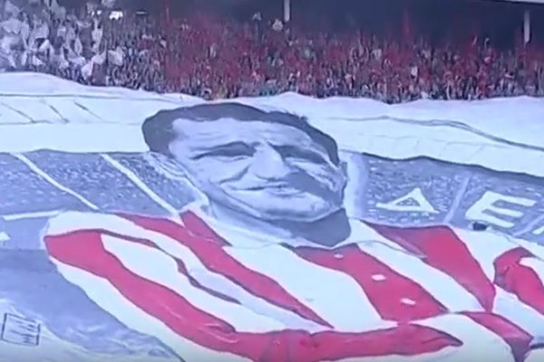 Od Dražinog četnika do miljenika Delija: 10 stvari koje niste znali o prvoj Zvezdinoj zvezdi! (FOTO) (VIDEO)