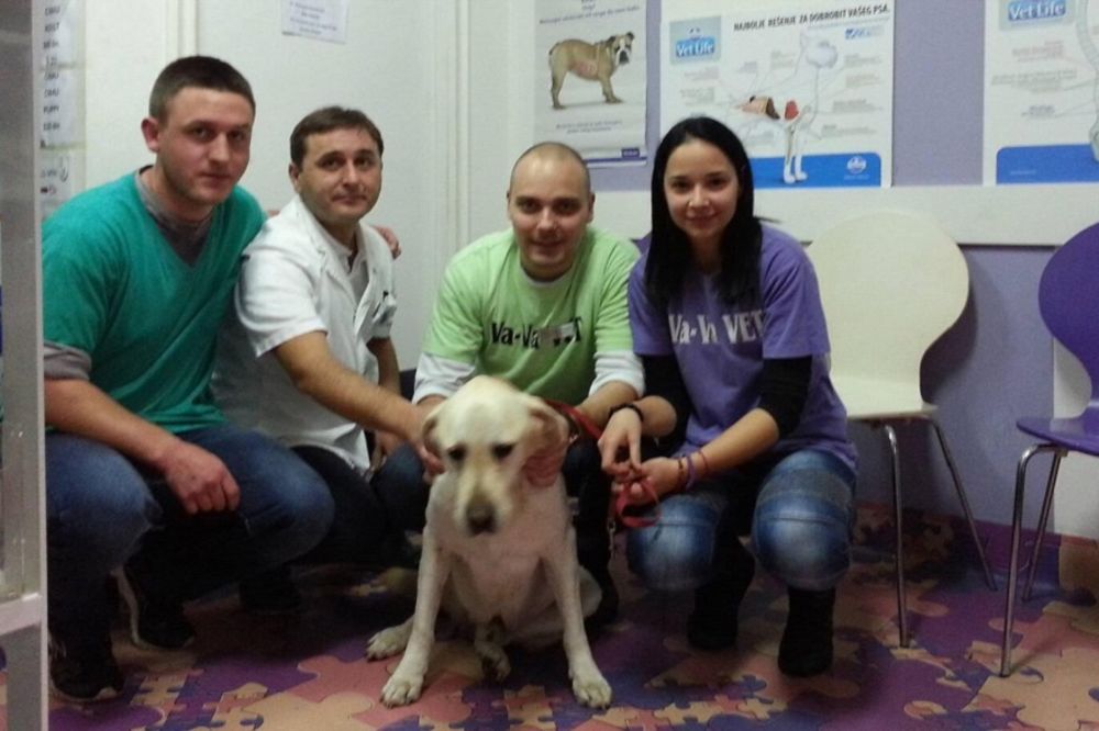 Ofarban i napušten pas danas je opran, udomljen i srećan! (FOTO)