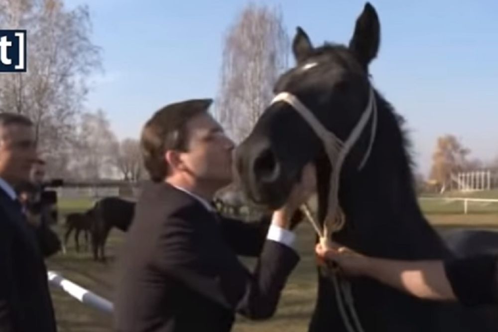 Urnebesno: Konj odbio poljubac ministra pravde! (FOTO) (VIDEO)