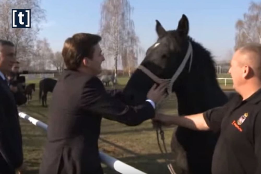Nije štala skupština: Šta je sve konj rekao Selakoviću kad ga je iskulirao! (MEME) (GIF)