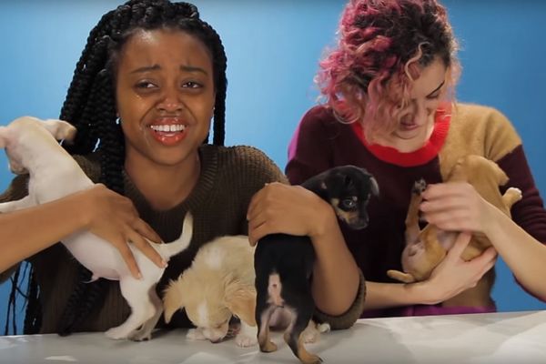 Suza suzu stiže: Pijanim devojkama dali preslatke kuce, njihova reakcija je urnebesna! (GIF) (VIDEO)