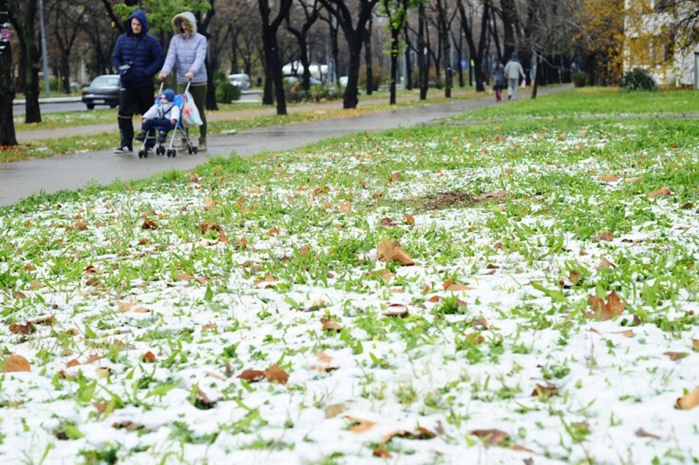 Kako vam se sviđa BG na snegu? Ove pahulje će sigurno za koji dan iznenaditi putare! (FOTO)