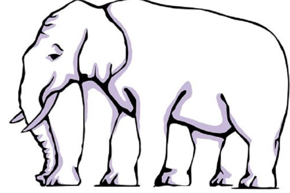 Hej, šta je ovo? Da li ovaj slon zaista ima 4 noge?