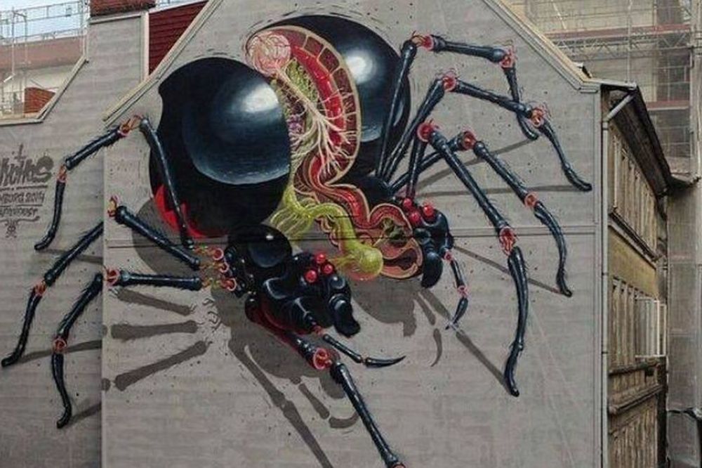 14 zgrada sa muralima koje ćete poželeli da gledate svakog dana (FOTO)