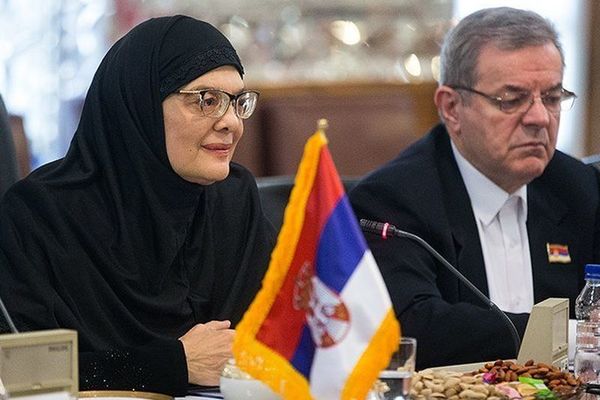 Maja Gojković tvrdi: Nisam osramotila Srbiju!