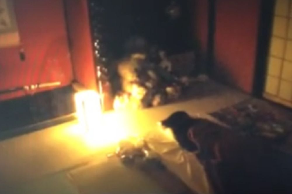 Ovaj video-klip vam donosi sreću: Na običnom snimku pojavljuje se neobičan gost! (VIDEO)