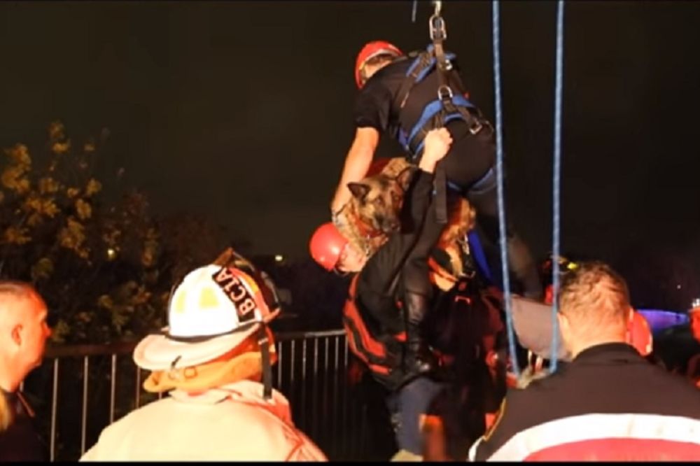 Vatrogasac dobio neočekivani poljubac od preplašenog psa! (FOTO) (VIDEO)