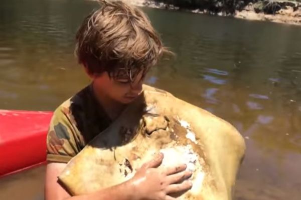 Dete porodilo ražu: Da li je Australija dobila naslednika Stiva Irvina? (VIDEO)