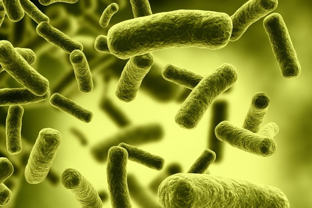 Džihadisti zarazili ljude bakterijom koja razjeda ljudsko meso! (UZNEMIRUJUĆE FOTOGRAFIJE)