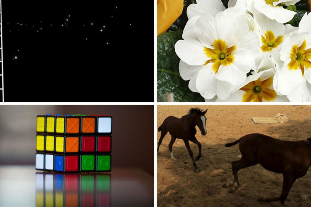 Ovaj test će otkriti kakva ste osoba i kakvi su vam prijatelji! (FOTO)