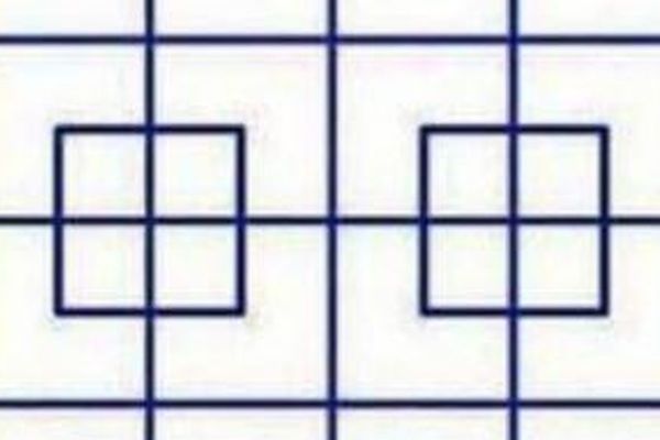 Proverite svoju moć zapažanja: Koliko kvadrata vidite na fotografiji? (FOTO)