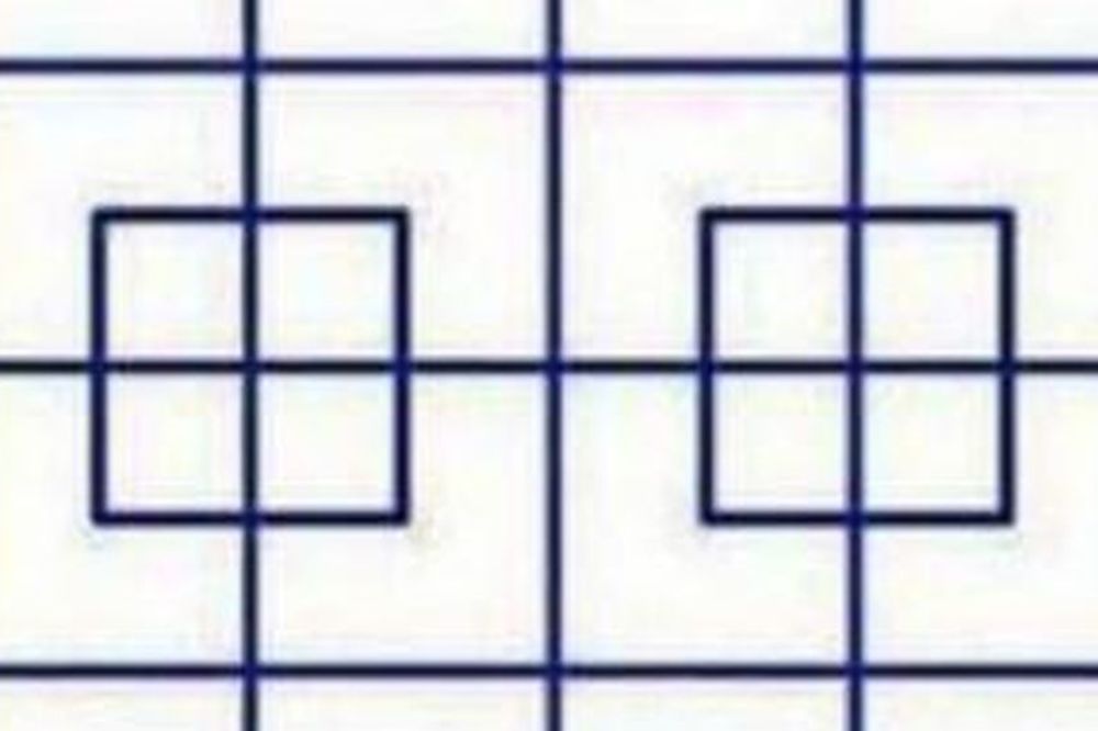Proverite svoju moć zapažanja: Koliko kvadrata vidite na fotografiji? (FOTO)