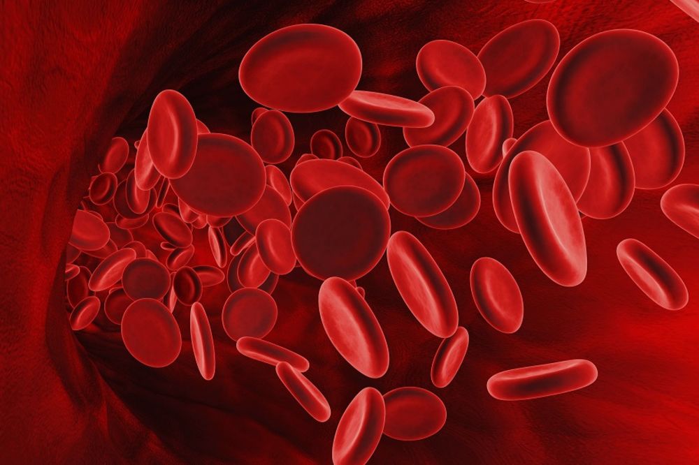 Ako imate ovu krvnu grupu, vi ste rođeni za vođu! Krvna grupa otkriva našu sudbinu! (FOTO)