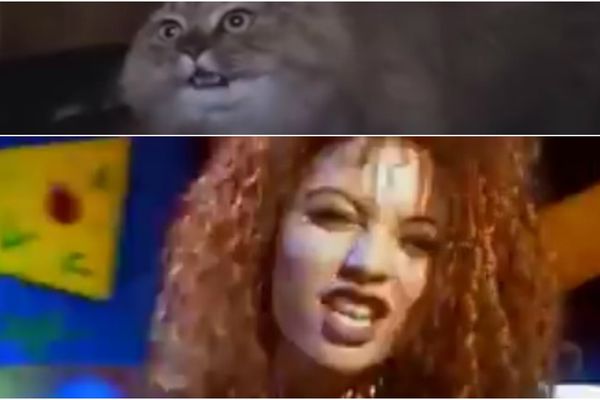 Žena krešti, mačka ne veruje: Skinula je samo tako! (VIDEO)