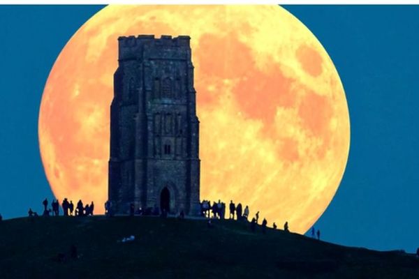 Šta se najviše lajkovalo i šerovalo na Fejsbuku u toku 2015? (VIDEO)