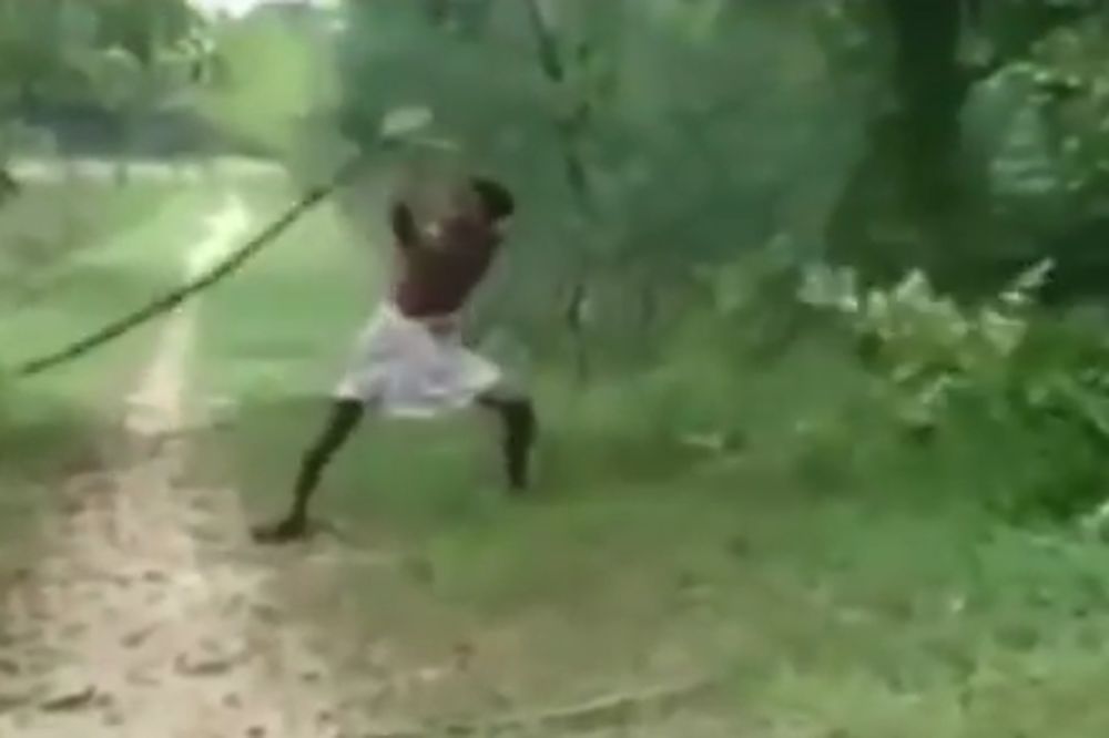 Ubio je kobru golim rukama da bi osvetio smrt deteta! (VIDEO)