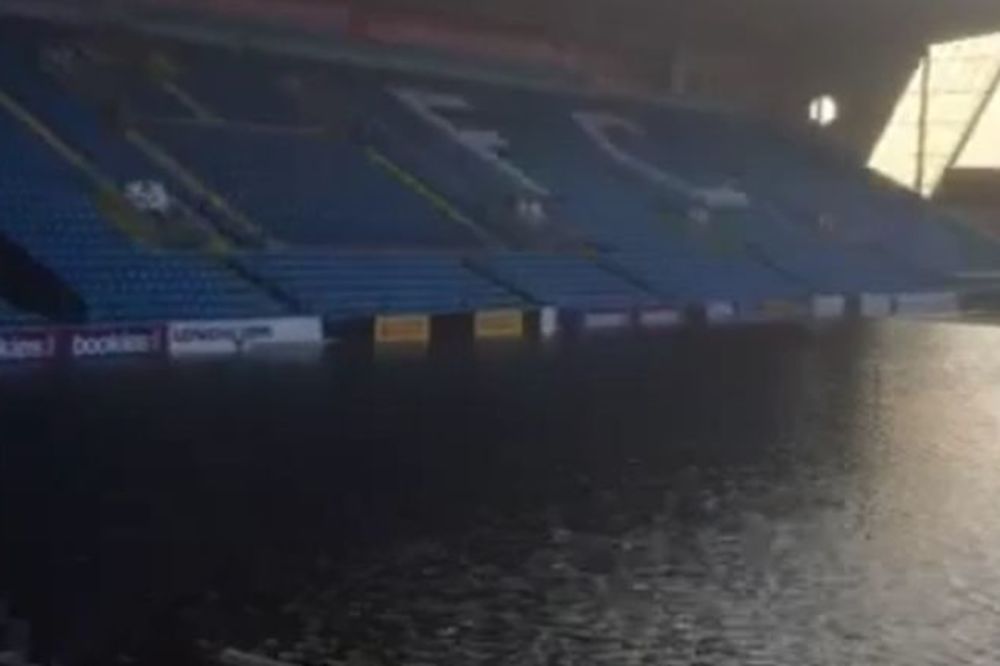 Na koliko želja imaju pravo? Radnici na stadionu engleskog kluba našli japanske šarane! (FOTO)