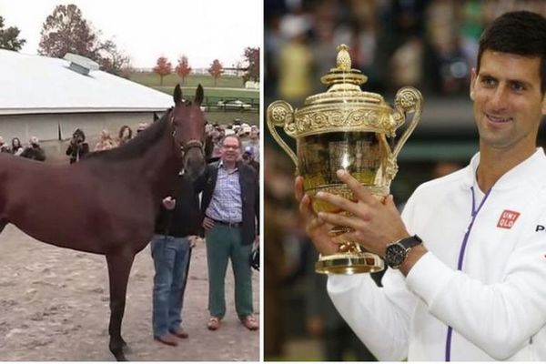 Konj nije uspeo, a nije ni Novak Đoković! Sportska ličnost godine je... (FOTO)
