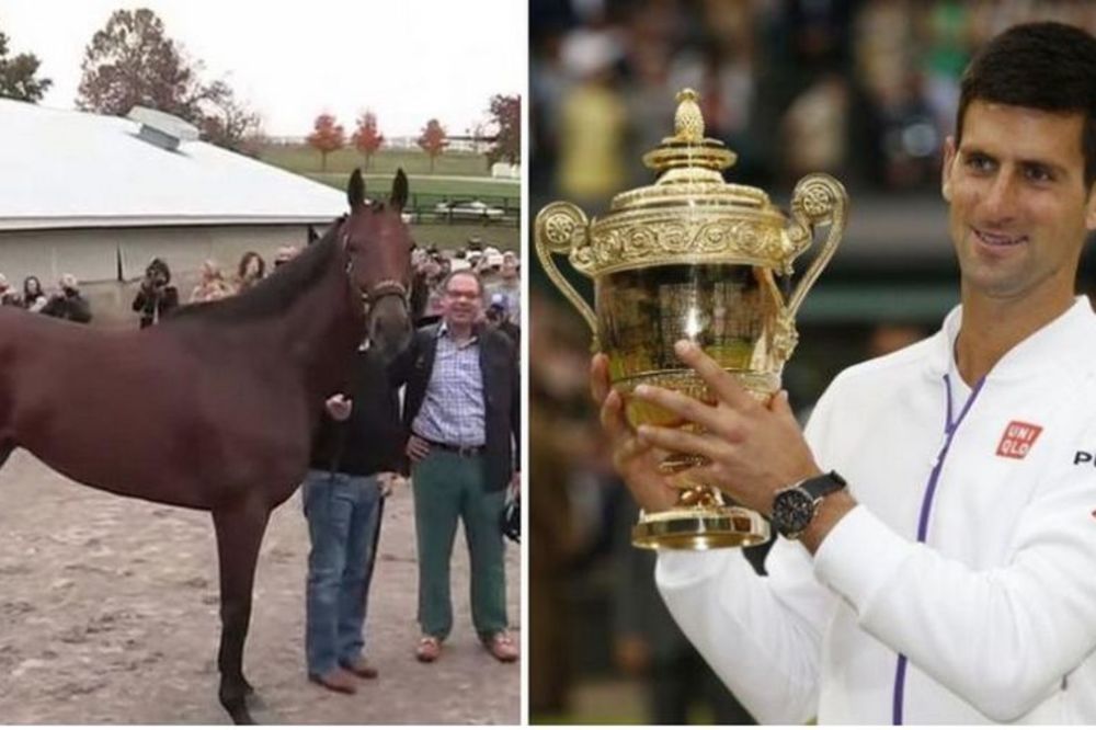 Konj nije uspeo, a nije ni Novak Đoković! Sportska ličnost godine je... (FOTO)