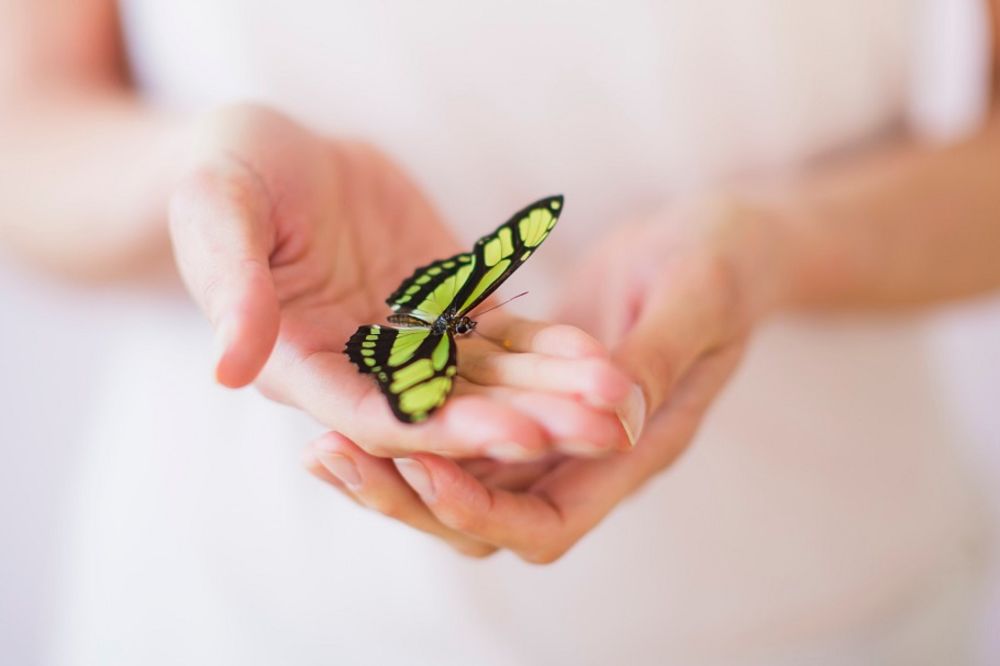 20 saveta mudrog 100-godišnjaka za bolji i lepši život (GIF)