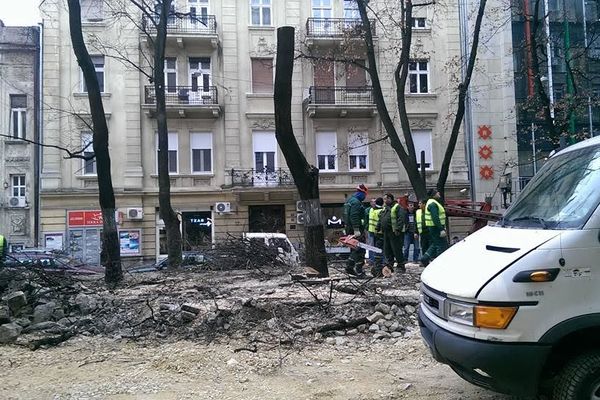 Ubiše Pevca i nikom ništa: Motornim testerama uništili kultnu baštu u centru Beograda! (FOTO)
