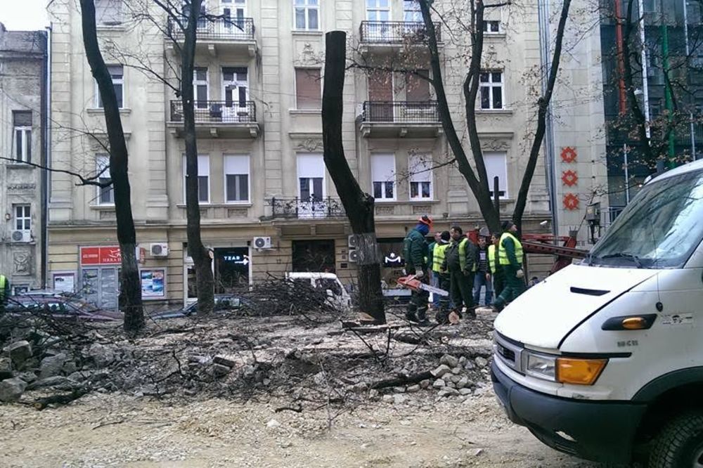 Ubiše Pevca i nikom ništa: Motornim testerama uništili kultnu baštu u centru Beograda! (FOTO)