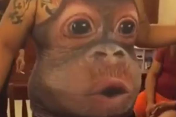 Ovako vaša stomačina reaguje kad treba da odete u teretanu! (VIDEO)