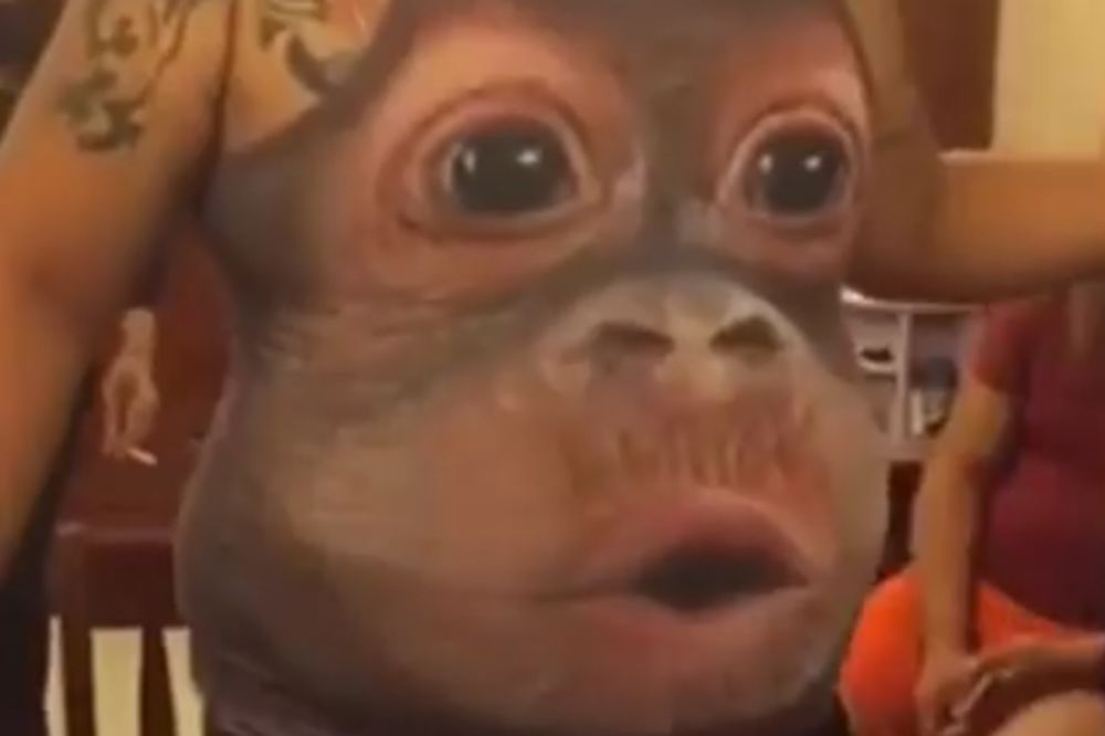 Ovako vaša stomačina reaguje kad treba da odete u teretanu! (VIDEO)