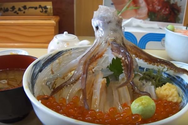 Da li biste je pojeli ili uživali u njenom plesu (VIDEO)