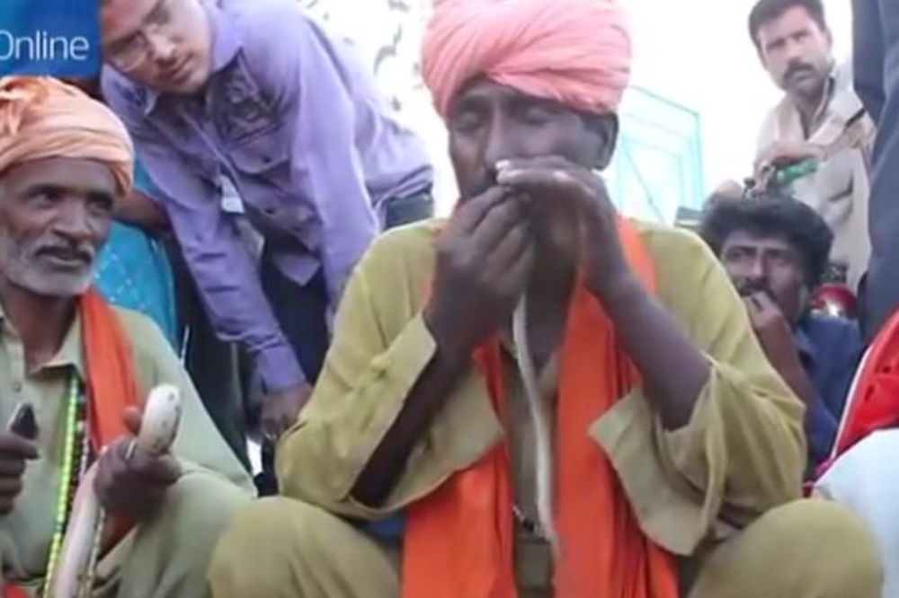 Da li biste se usudili? Ušmrkao otrovnu zmiju kroz nos, pa je izbacio na usta! (VIDEO)