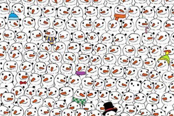 Samo 1 odsto ljudi može da pronađe pandu na ovoj slici! (FOTO)