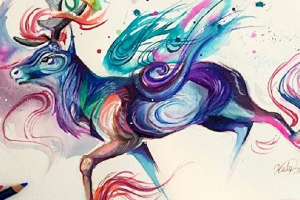 Ona boje vidi drugačije: 20 životinja kakve nikada niste videli! (FOTO)