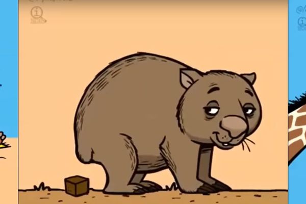 Gotivni svet životinja: Ovo o njima sigurno niste znali! (GIF)