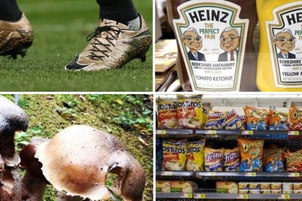 Nema više kopački u boji, čipsa, jafe, kapa, pečuraka... Najbizarnije zabrane trenera!