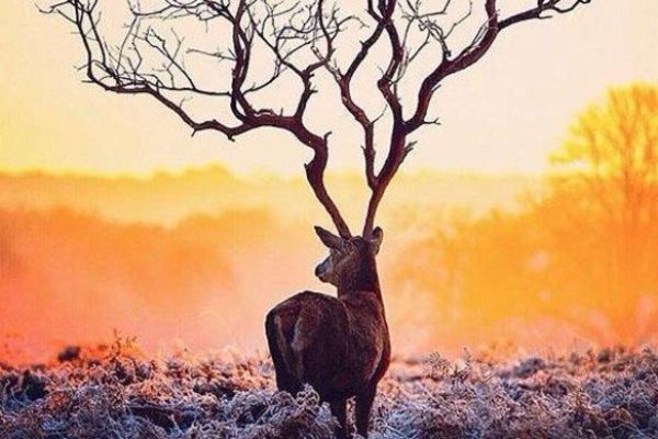 23 fotografije koje morate pogledati bar 2 puta da biste shvatili o čemu se tu radi! (FOTO)