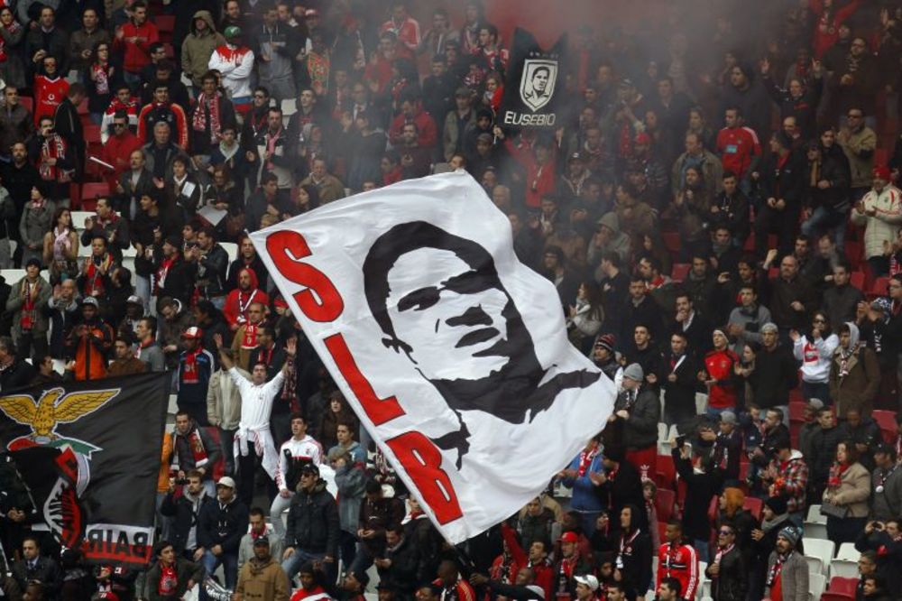 Crni panter iz Mozambika od koga su svi strepeli: Druga godina bez jednog od najboljih ikada! (GIF) (FOTO) (VIDEO)