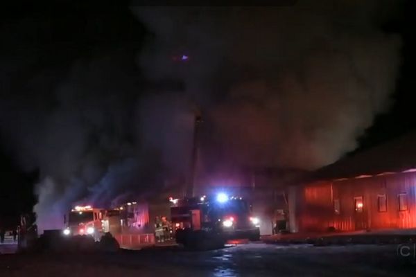 Ogromna tuga: U požaru izgorela 43 konja, među njima i grlo vredno milion dolara! (FOTO) (VIDEO)