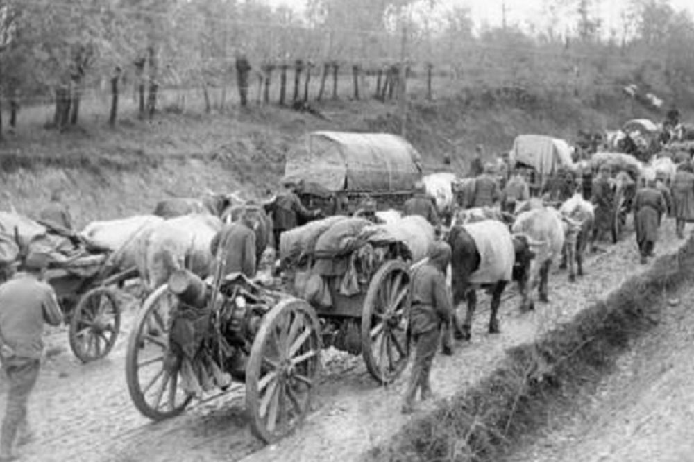 Sećanje na krvavi Božić: 100 godina od kada su Crnogorci ginuli za braću Srbe! (FOTO) (VIDEO)