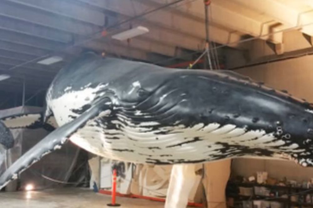 Od par stotina kilograma stiropora do umetničkog dela! Umeće ovog čoveka će vas ostaviti bez teksta! (VIDEO)