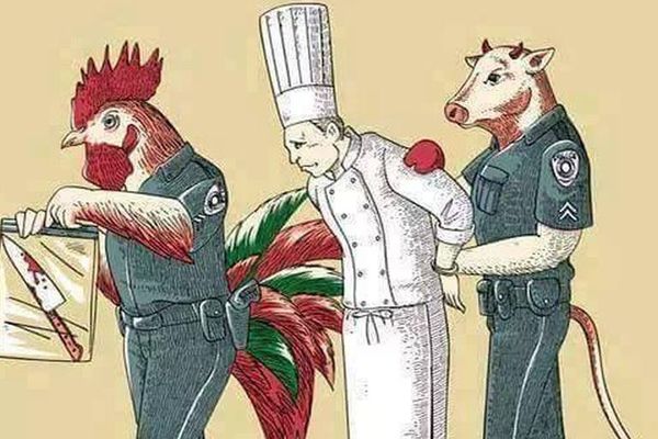 Nezgodna istina: Kako bi izgledao svet da životinje rade što i ljudi? (FOTO)