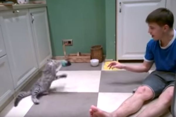 Pogledajte kakav je majstor Novak Mačković: Svaka lopta je njegova! (VIDEO)