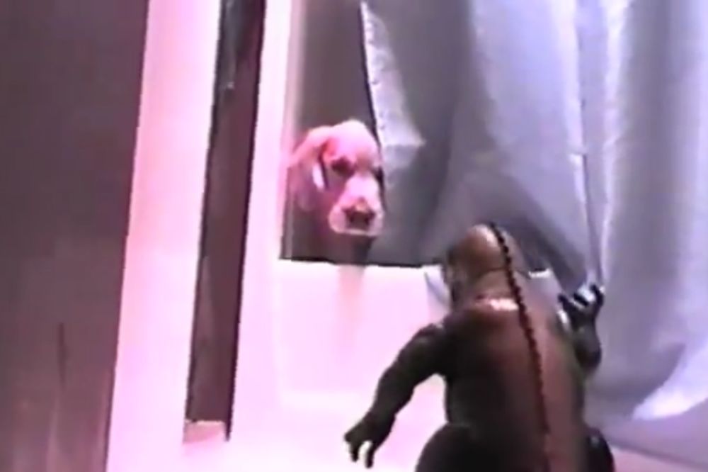 Kako preživeti napad Godzile? Trk u kadu! (VIDEO)