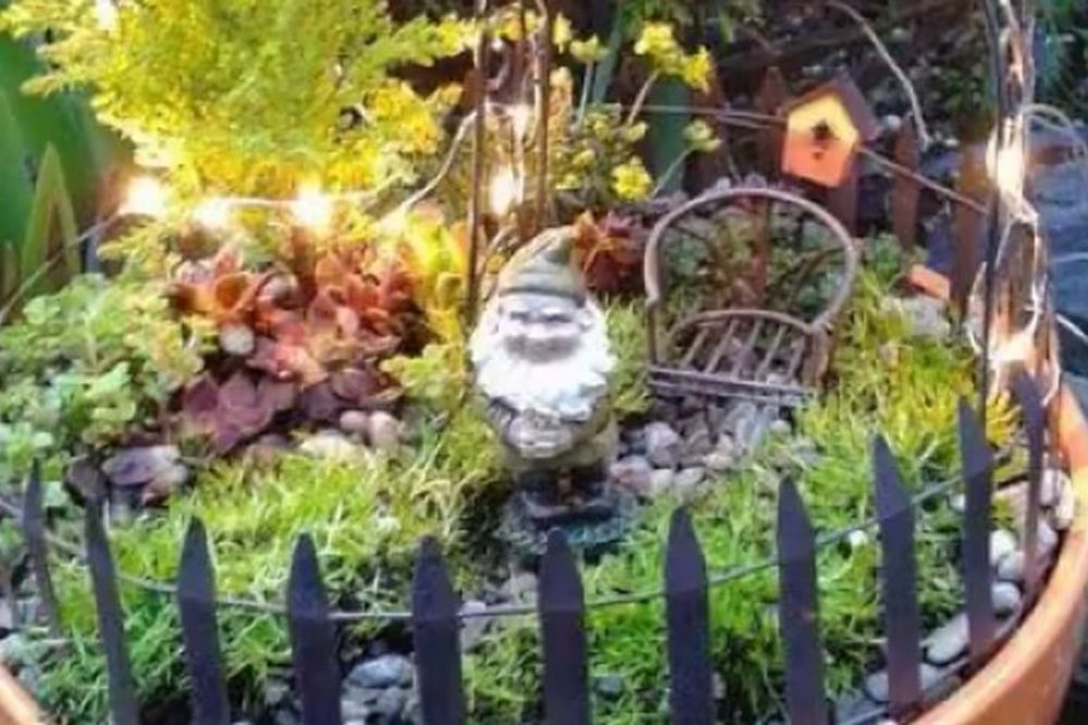 Bonsai bašte koje ćete sigurno poželeti da imate (VIDEO)