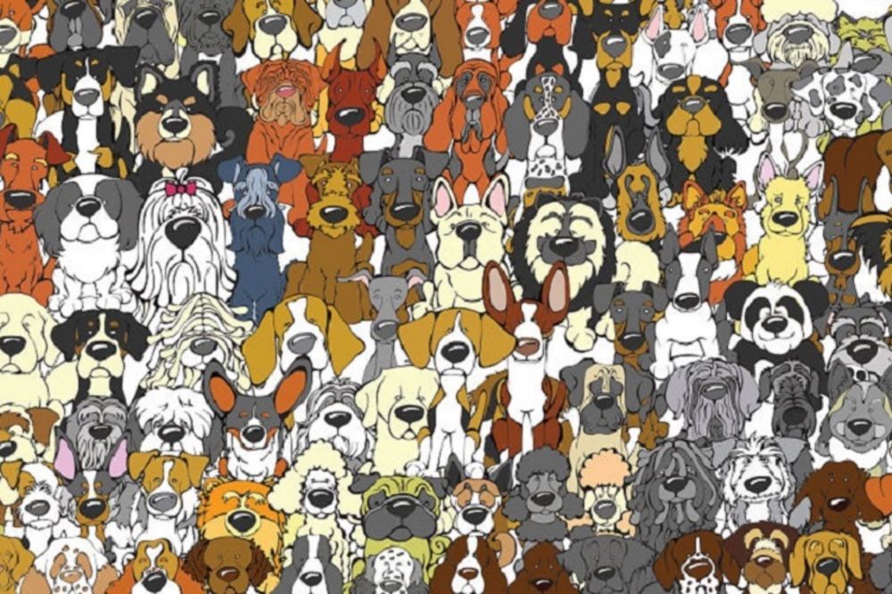 Novi nivo ludila: 19 fotografija na kojima morate da pronađete pandu! (FOTO)