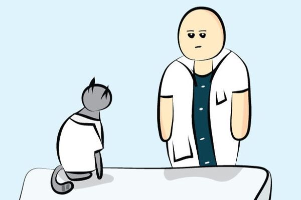 Kakav doktor! Kako se ponaša mačak naučnik na radnom mestu? (FOTO)