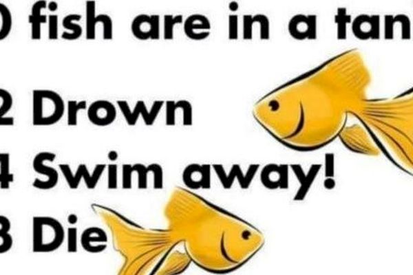 Ova zagonetka je naizgled laka: Koliko ribica je ostalo u akvarijumu? (FOTO)