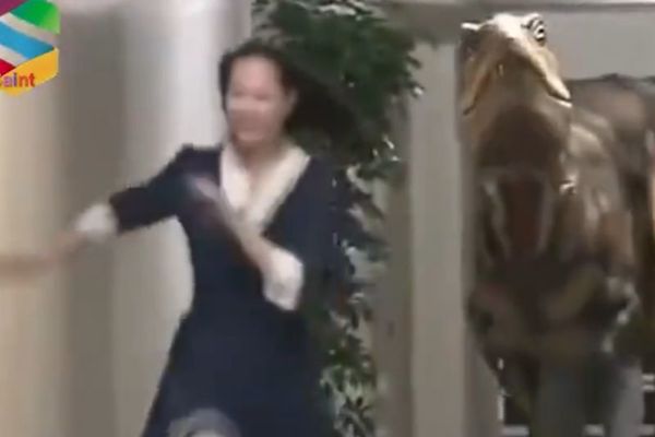 Kad Godzila u firmu zađe: Neočekivani kraj napornog radnog dana!  (VIDEO)